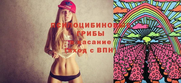 спиды Белокуриха