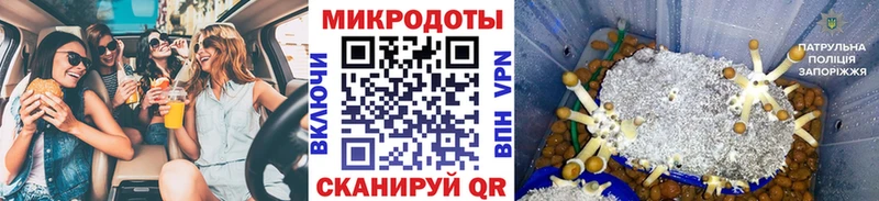 гидра вход  Щёлкино  Псилоцибиновые грибы прущие грибы  цены  